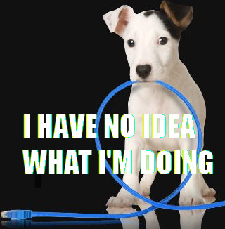 Dog with network cable, captioned \